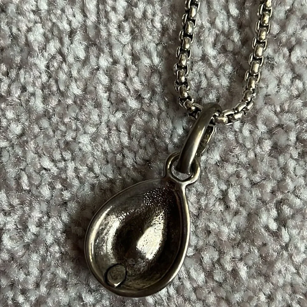 Premier Designs “Chili Pepper” Necklace with pendant